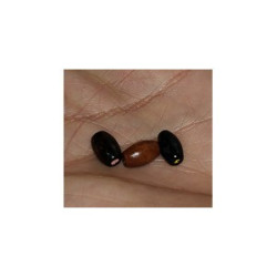 Margele bile distantiere | Margele ovale de trecere 6mm | 6524